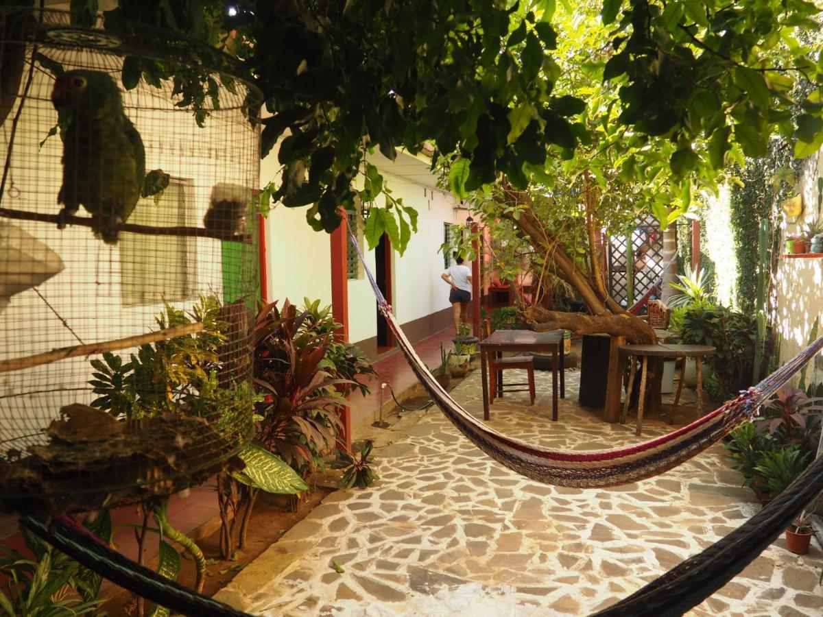 Hostal Vacaciones Nicas Leon Exterior photo